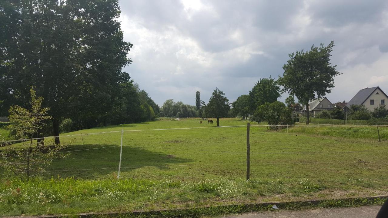 Gasthaus Schillebold Peitz Rum bild